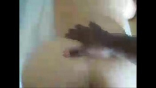 [1531546, Amateur] 1531546